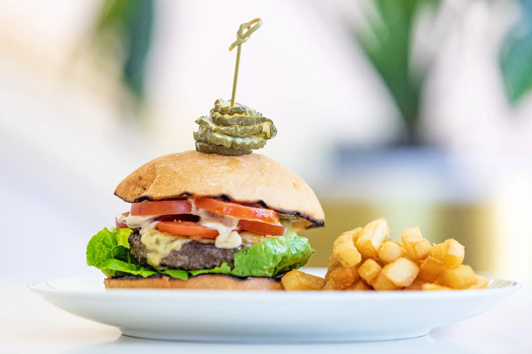 in-house-dining