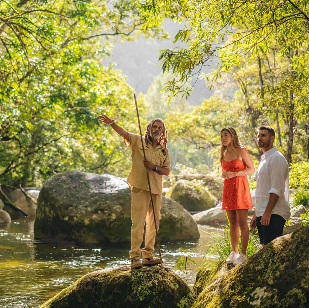 daintree-experience